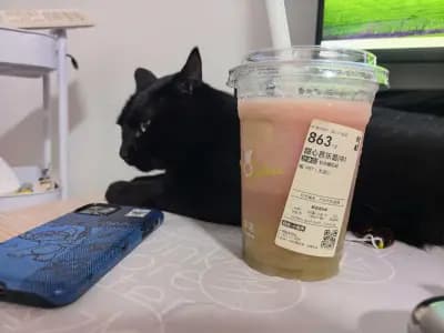 甜心bá～～～ là！葡